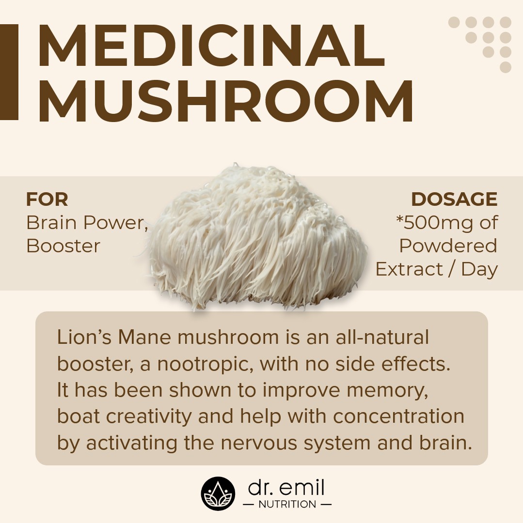 What Are the Benefits of Using Lion’s Mane Mushroom?